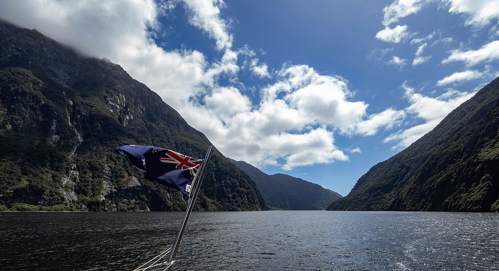 New Zealand records first case of H5N1 bird flu virus in migratory seabirds