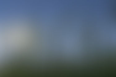 Akitu Festival: Springtime in Mesopotamia