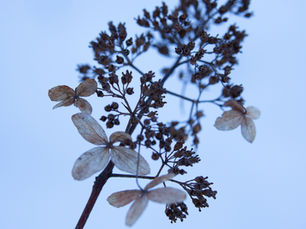 March greetings from the president