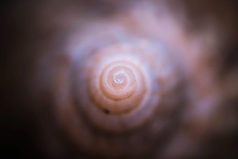 Image by Thomas Oxford