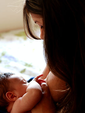 Image de Luiza Braun