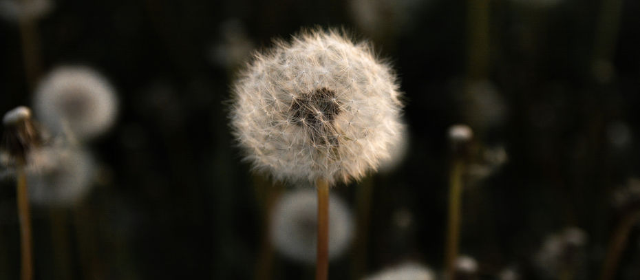 Öykü- İdil Gürsel Himmetoğlu- Anneyle Randevu