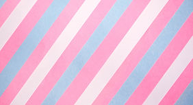 International Transgender Day of Visibility