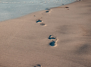 Image by Ronan Furuta