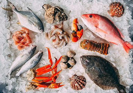 Seafood water treatment system