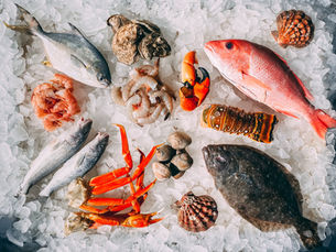 Definitive Guide to Storing Fresh Seafood