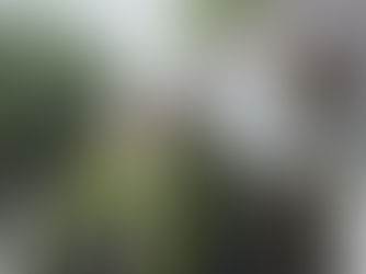 Préparer sa maison pour le printemps : évitez les mauvaises surprises au dégel