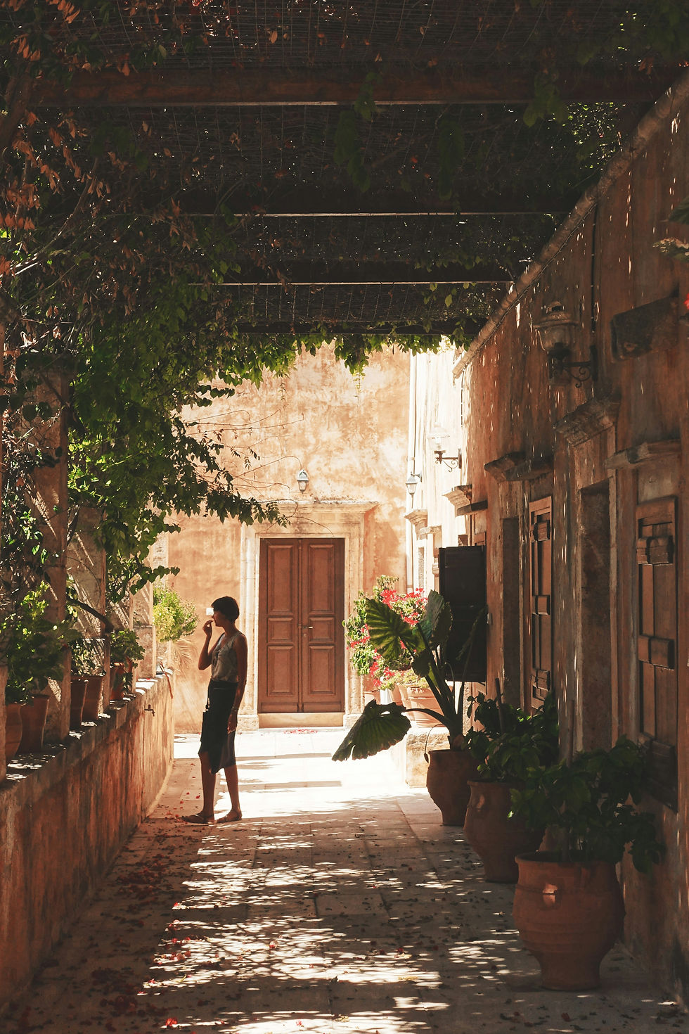 Eye-level view of a rustic stone cottage surrounded by olive trees