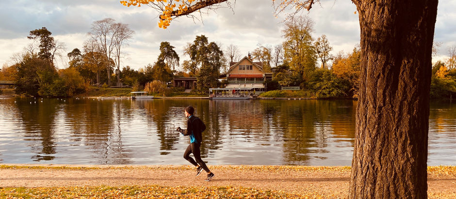 Male Reproductive System and Prostate Health