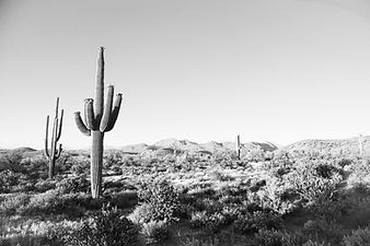 Image by Joe Cook