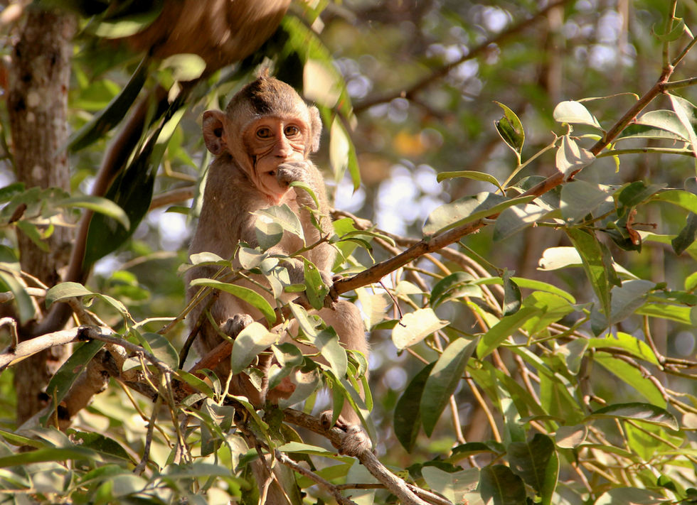 Image by Freysteinn G. Jonsson