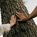 Image by Alexander Mass