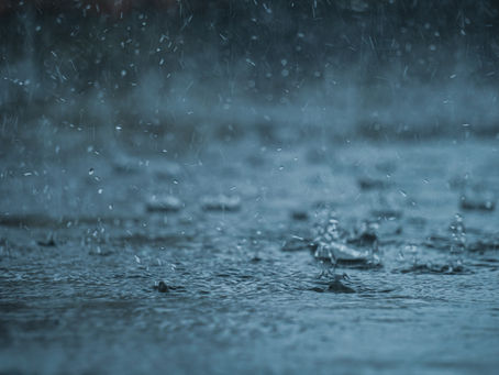 Linear Rainbands in Japan – Lessons From the Chiba Heavy Rainfall