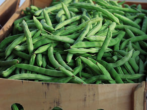 Salade de pommes de terre et haricots verts