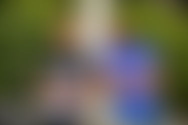 Proverbs of a 41 yr. Old man