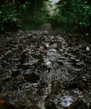 Image by Matt Seymour