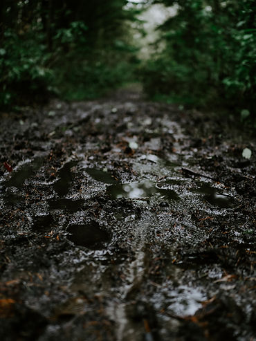 Image by Matt Seymour