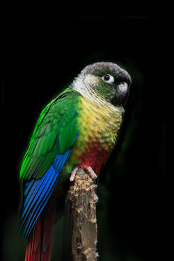 Image by David Clode