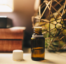 Image by Kelly Sikkema