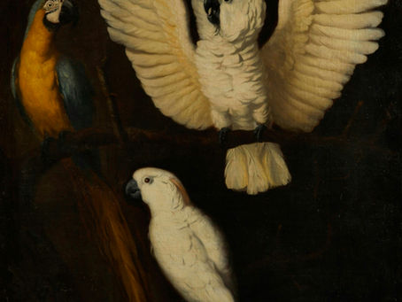 The History of Parrots in Human Culture: From Sacred Symbols to Dying Species