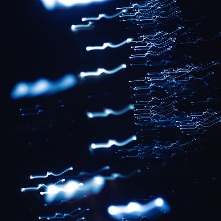 Shadow Maribrengaël 冬至と私たち