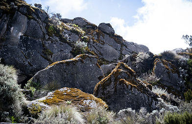 Image by Daniel Vargas