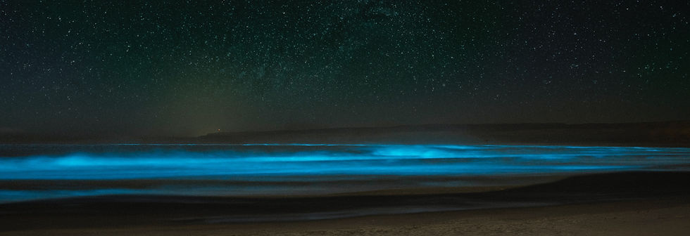 Image by Alexis Magnone