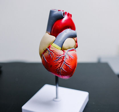 Image by Kenny Eliason