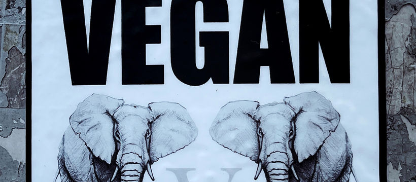 The Ultimate Guide to Vegan Hair Products at Belt Salon in Parrish, FL