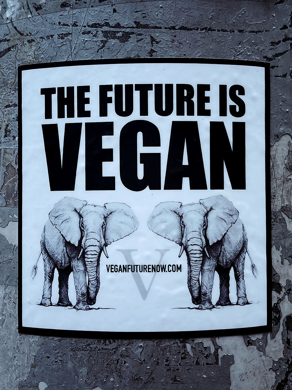 Vegan