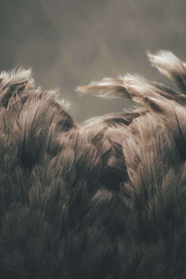 Image by Rob Potter