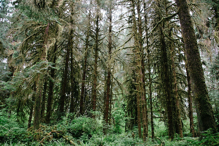 Image by Amanda Frank