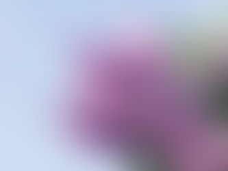 Coordinator Corner – May 2024