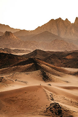 Image de NEOM
