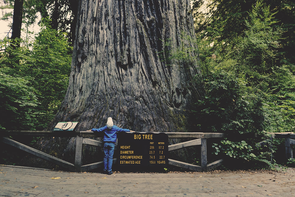 Image by Clint McKoy