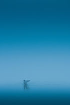 Image by Kevin Grieve