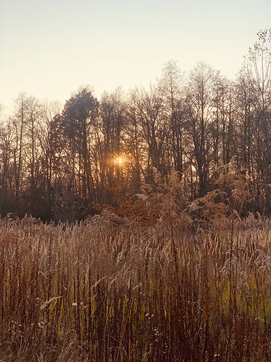 Image by Tetyana Skrypka