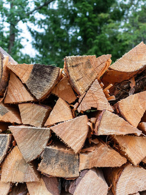 Firewood Can Teach Us About Sharing the Gospel