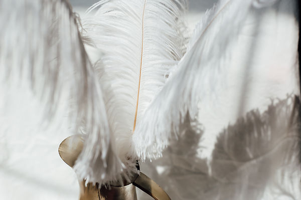 Image by Kendall Scott