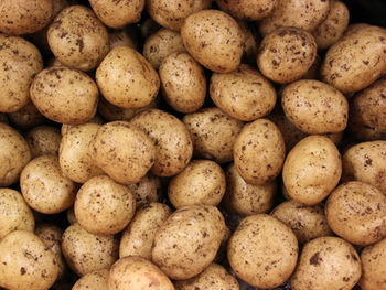 McCain Foods pilots AI-powered crop monitoring programme with Ceres AI