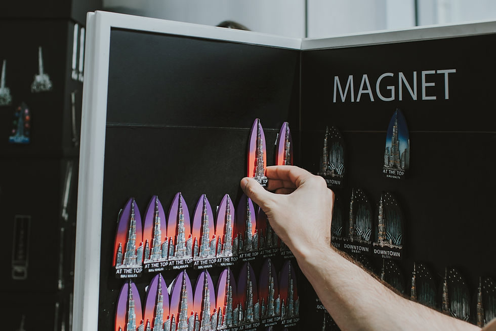 The Magnetite Consciousness explains the nature of magnetite.