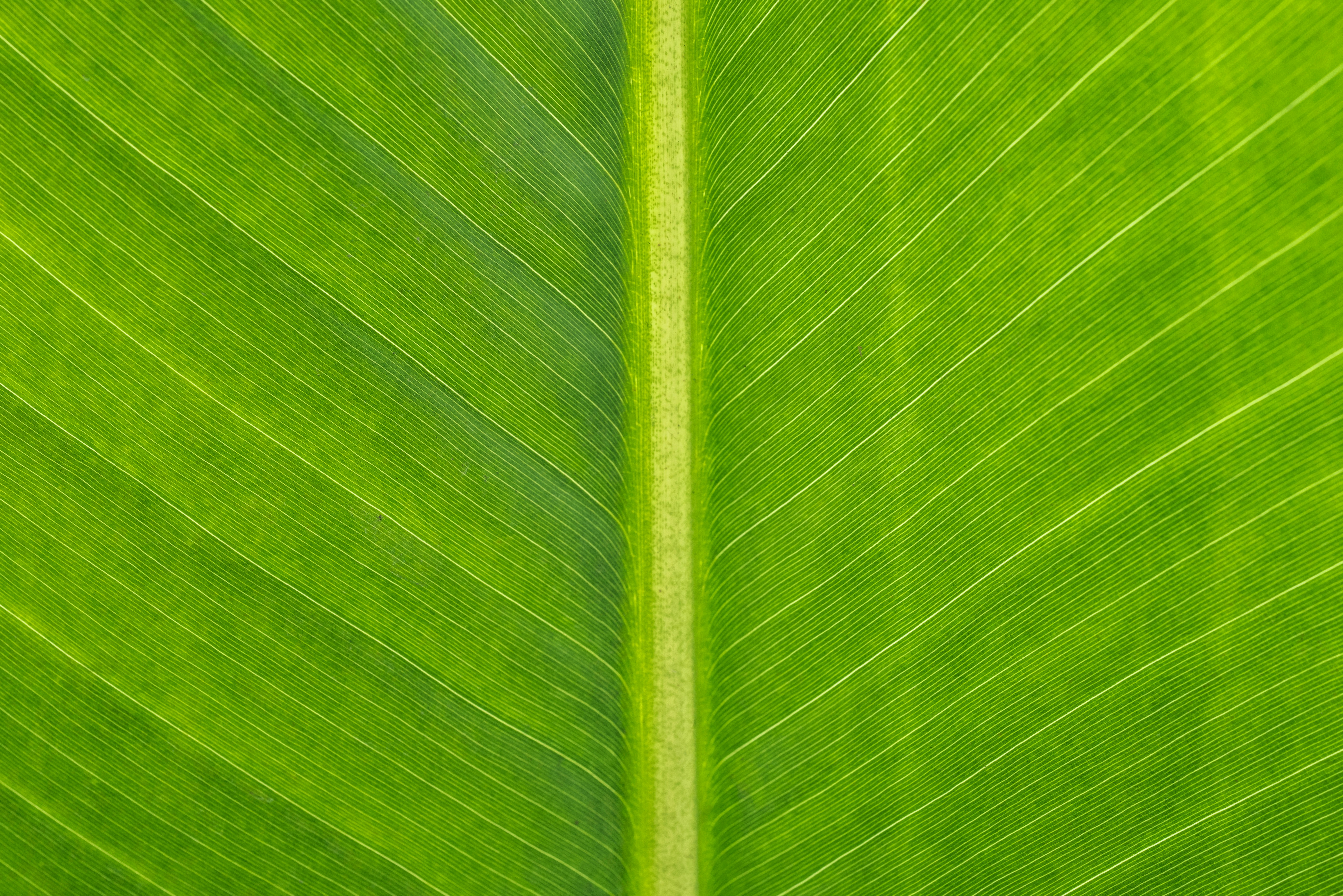 Image by Zhuojun Yu