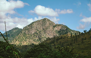 Image by Ramón Flores