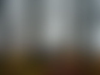 Migration crisis in Europe - is there a need for a new Eurocrime?