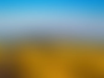 Wine tasting in Provence: discovering the art of living