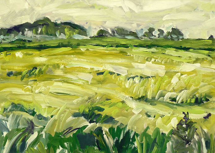Image de Fons Heijnsbroek
