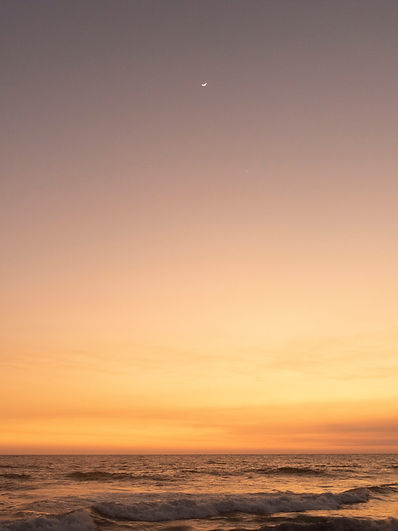 Image by Andrea Castro