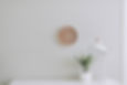 Image by Samantha Gades