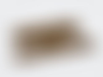 From Intention to Action: Preparing Your Mind, Body & Spirit for a Transformative New Year