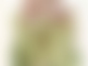 drawing of lady slippers plant